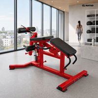 Appareil de musculation professionnel à charge libre pour extensions et curls couché, idéal pour la musculation en salle de sport
