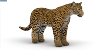 Grand énorme gros oxford tissu air coup gonflable tigre animal léopard panthère lion modèle jouet pour éditer bouffée 3D animal