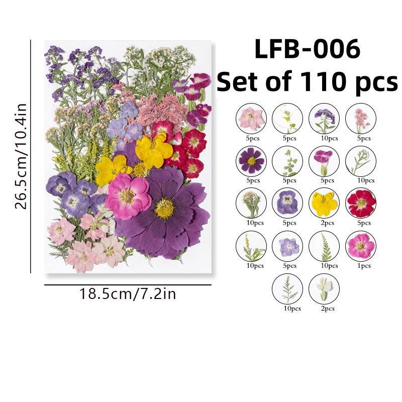 LFB-006