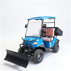 Chariot de golf électrique modifié pour le déneigement et le transport de charges - Product Image 2