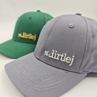 Casquette de baseball unisexe personnalisée en gros, style Oxford, en tissu éponge, à motif Argyle, à pois, sportive, avec logo brodé, imprimés Léopard, Chats, Fruits, formelle, pour l'été