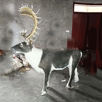 Grands modèles réalistes de rennes et d'élan artificiels pour décorations de Noël intérieures, modèles d'animaux cerf Sika pour exposition