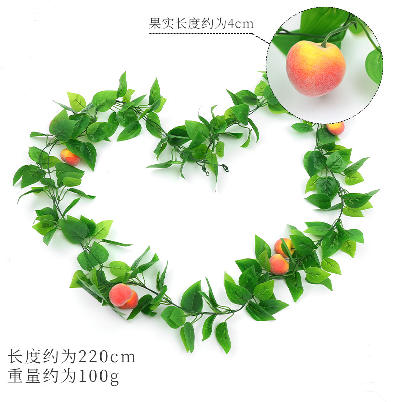 Vignes de pêche (gros fruit)