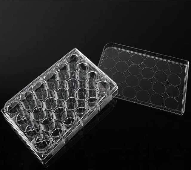 Medical Grade Pp Individual Pack Lid 6 12 24 48 96 Wells Dependable Performance Cell Culture Well Plate