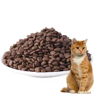 The Best Dry Cat Foods for Your Kitty to Crunch Indoor Chicken Dry Cat Food