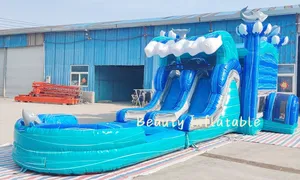 Commercial Dolphin Combo Large Wet And Dry Inflatable Bounce House Combo For Party Business