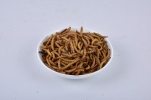 SINO CROWN Ver <span class=keywords><strong>de</strong></span> <span class=keywords><strong>farine</strong></span> séchée pour les additifs alimentaires secs - Product Image 4