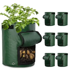 Chinese supplier eco-friendly planter pots potato grow bags 5 gallon with handles