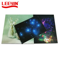 Panneau acoustique de plafond en Fiber de Polyester, 1 pièce, lumière scintillante, ciel étoilé, pour Home cinéma, animaux domestiques