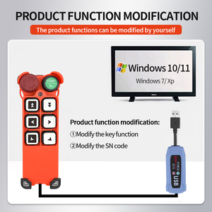 Interruptores de Control Remoto Industriales F21-2D4S al por Mayor, Mini Control Remoto Inalámbrico para Grúas de Camiones, 24V Automático, Nuevo - Product Image 6