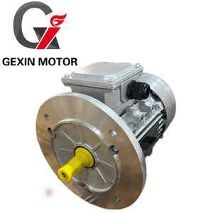 Motor Eléctrico Asíncrono Trifásico GEXIN 0.75kw 1HP YE3, Eficiencia IE2, Montaje en Pedestal, 50Hz/60Hz 380V, Cerrado - Product Image 1