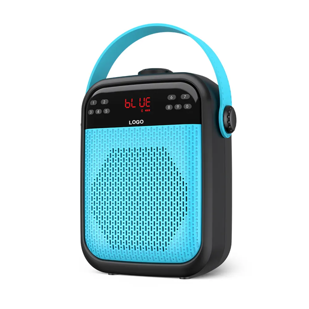 Haut-parleurs en plastique rechargeables équipement de son de la parole Portable avec écran LCD Radio FM Ture stéréo sans fil pour l'enseignement du chant