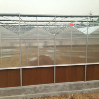 Bonne qualité Chine Green House Agriculture avec système de culture hydroponique