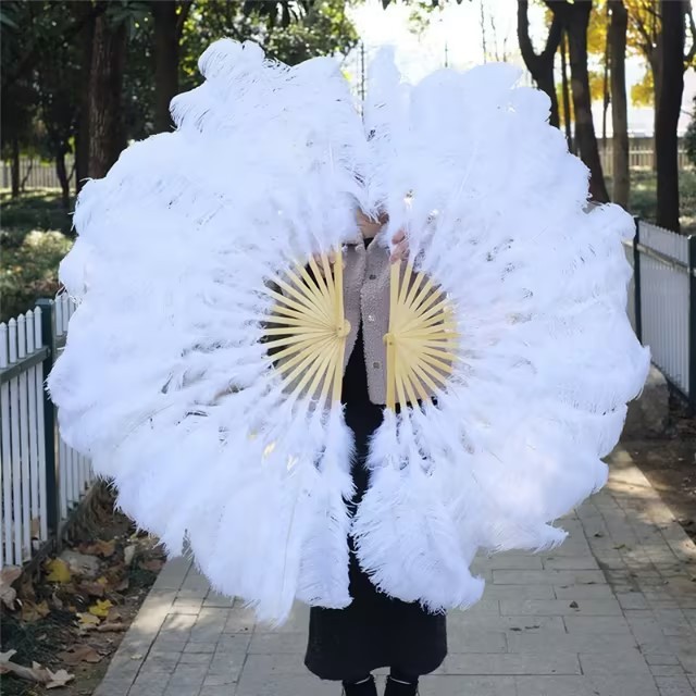 Wholesale Feather Supplier Full Size 25