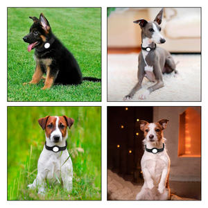 ปลอกคอสุนัขแบบมีสายรัดพร้อมช่องใส่แท็กแบบซ่อน รองรับซอฟต์แวร์ Smart ID ดีไซน์พนักพิงสูง ราคาโรงงาน รับผลิตแบบ OEM - Product Image 5