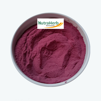 Bubuk Jus Buah Blueberry Kering Beku Alami Murni dengan Layanan Kemasan OEM