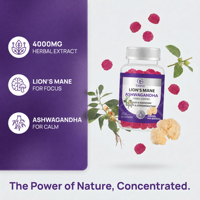 Gummies personnalisées à marque privée aux champignons Lion's Mane, Ashwagandha et supplément nootropique pour le cerveau