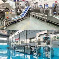 Ligne de production entièrement automatique de frites de pommes de terre surgelées pour la Turquie, machine à fabriquer des chips de pommes de terre, prix