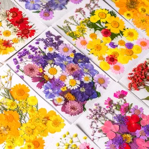 Folhas secas de flores secas reais prensadas para joias de resina epóxi, sabão para fazer velas, arte e artesanato, suprimentos para artesanato