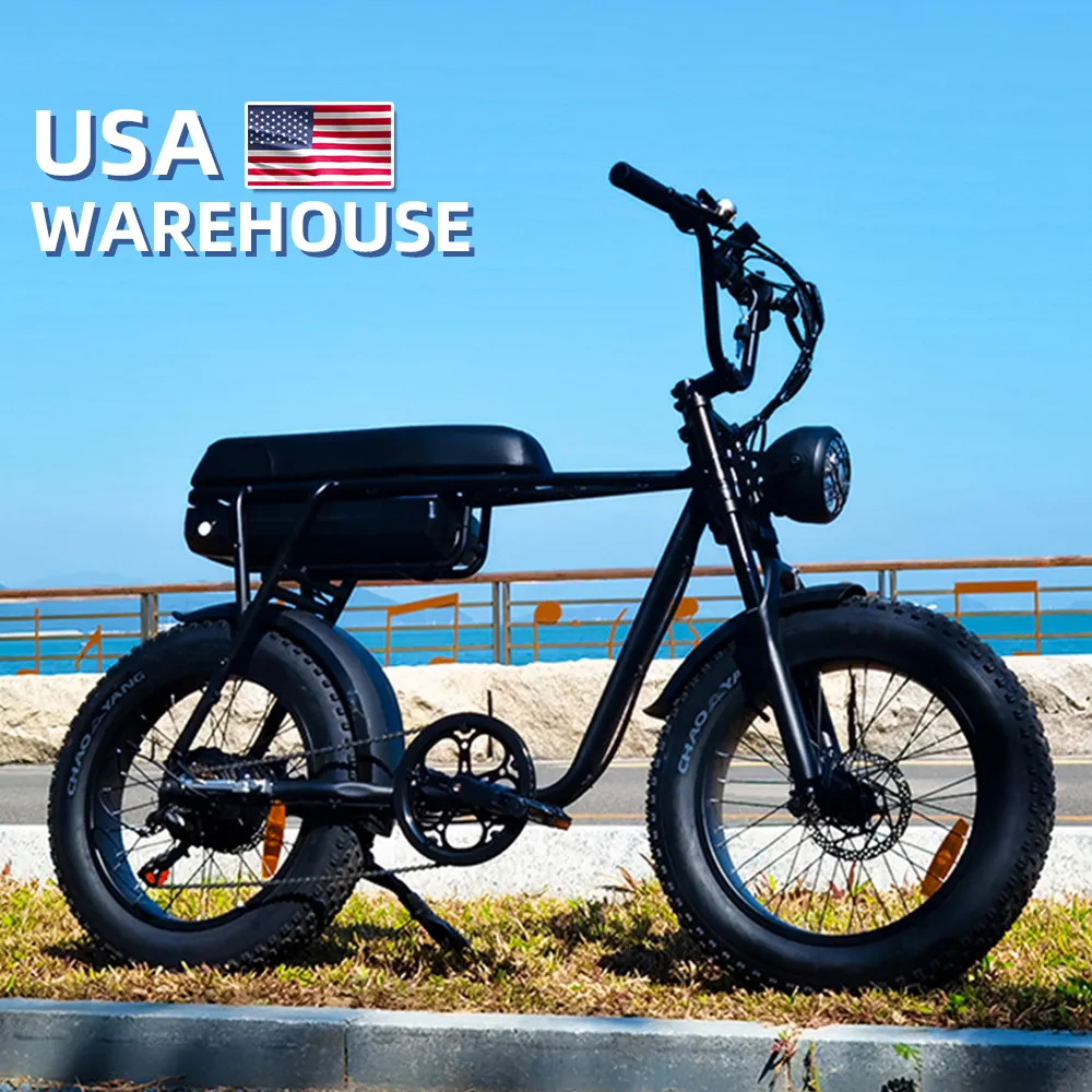 New Fashion 48V e-bike 750W/1000W Adult Fat Tire Lithium Battery long range electric bicycle