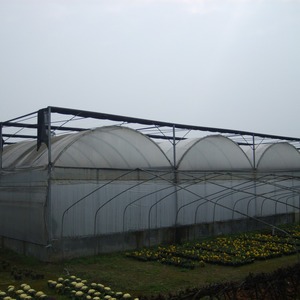 Moderna agricoltura agricola Multi-span pellicola di plastica automatizzata mirtillo Smart serra per la semina di pomodoro - Product Image 4