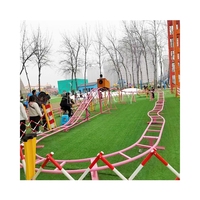 Parc d'attractions commercial pour enfants pas cher non alimenté monter sur jardin arrière-cour montagnes russes pour les enfants