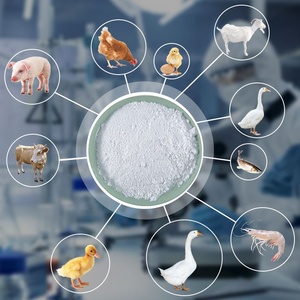 China fornecedor vitamina b3 alimentação grau de ácido nicotinic pó para a nutrição dos animais - Product Image 5