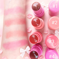 Nouveauté : Stick blush hydratant à haute pigmentation, effet naturel et radieux, longue tenue, kit de maquillage cosmétique pour peaux claires