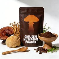 Café instantané Reishi à étiquette privée OEM/ODM, goût neutre, sans sucre, mélange adaptogène, extrait de Ganoderma, poudre de café de qualité supérieure