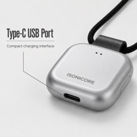 Perekam MR20 Portabel dengan Perekaman Rapat Otomatis, Aksesori Magnetik, USB Tipe C, dan Aplikasi Ringkasan Suara untuk Grosir