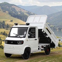 Mini camion électrique chinois pour la ferme, camion à benne basculante, commerce de voitures, petit tricycle chinois, mini camion électrique, mini camionnette de fret
