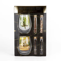 Kit de verres à vin sans pied personnalisés BespritGift avec logo, verres à gin, garnitures botaniques, coffret cadeau pour les amateurs de cocktails, style tendance