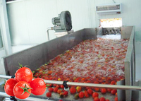 Industriële Tomatenpuree Concentraat Saus Jam Ketchup Puree Making Machine Productielijn Verwerkingsbedrijf