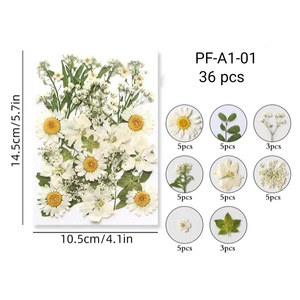 بيع مباشر من المصنع لمستلزمات تزيين الكيك، زهور طبيعية مضغوطة لتزيين كعكات الزفاف وتزيين الكيك - Product Image 6