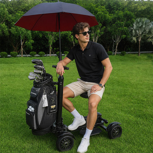 US Stock Free Shipping <b>Foldable</b> Golf Scooter 4 Wheel <b>Cart</b> With Removable Battery M12-3 Mobility Golf Skateboard M12-3 - Product Image 5