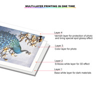 Marque Freecolor 3 pièces TX800/XP600 tête d'impression A2 DTF imprimante UV à faible coût excellent service