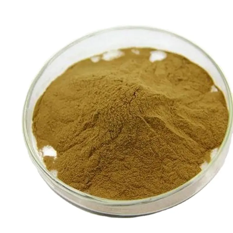 Pure Natural Fennel Powder Fennel Seed Powder Fennel Seed Extract Powder