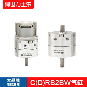 Cylindre rotatif à palettes CDR2BW CRB2BW10/15/20/30/40-90/180/270S Cylindre oscillant - Product Image 4