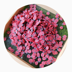 Nouveauté : Paillettes en argile polymère multi-types en forme <span class=keywords><strong>de</strong></span> coccinelle pour la décoration <span class=keywords><strong>de</strong></span> téléphones, les scrapbooking, les cartes shaker, <span class=keywords><strong>le</strong></span> remplissage <span class=keywords><strong>de</strong></span> slime DIY - Product Image 5