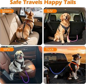 Cinturón de Seguridad para Perros de Doble Hebilla, de Lujo, con Logotipo Personalizado, Correa de Nailon Resistente, Arnés para <span class=keywords><strong>Coche</strong></span>, Correa de Seguridad para Mascotas - Product Image 6