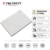 Planche stratifiée HPL phénolique brillante effet marbre, étanche et écologique, pour plans de travail de cuisine durables