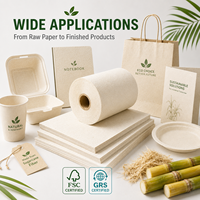Papel de Pulpa de Fibra Natural, Papel de Caña de Azúcar para Carteras de Documentos, Folletos, Manteles Individuales, Forros de Cajones, Exportador de Papel de Bagazo de Caña de Azúcar