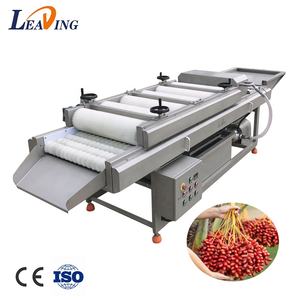 ماكينة تنظيف وتعقيم تمور النخيل لغسيل وتعبئة التمور وغسالة للتمور المجدول - Product Image 4