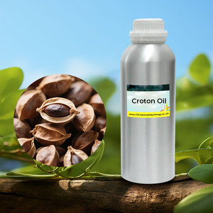 Wheat Germ Base Essential <strong>Oil</strong> Skin-friendly Nourishing Carrot Seed And Kiwi Fruit Seed Carrier <strong>Oil</strong>