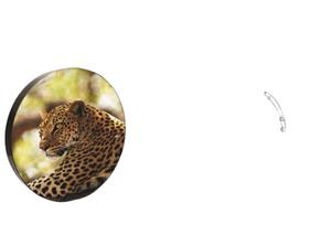 Ultra-Bright Double-Sided <strong>LED</strong> <strong>Display</strong> with Round Shape Dual-Sided Logo Light Box Outdoor Acrylic <strong>Digital</strong> Signage and <strong>Displays</strong> - Product Image 2