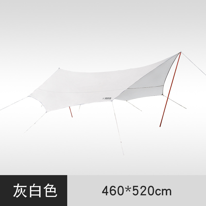 Kaki, taille moyenne [2103]