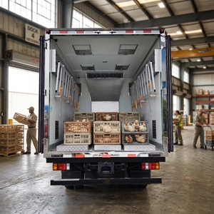 Camion de transport diesel Ay Old Chick 5 tonnes, véhicule de livraison de poussins à température constante avec caisse isotherme - Product Image 6