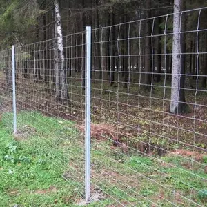 Recinto galvanizzato del bestiame della immersione calda recinto del prato del campo di recinzione del filo di maiale