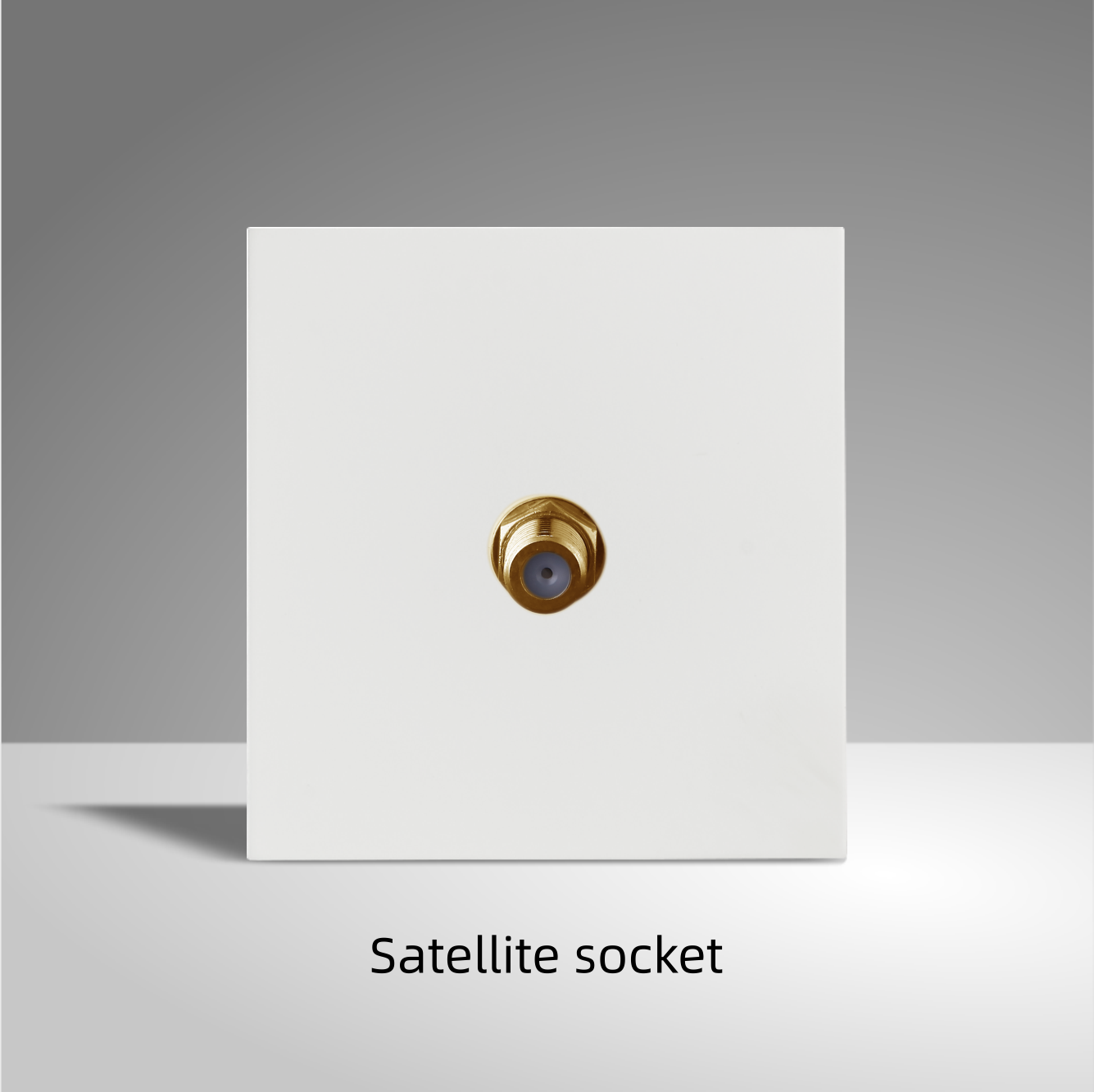 Prise satellite