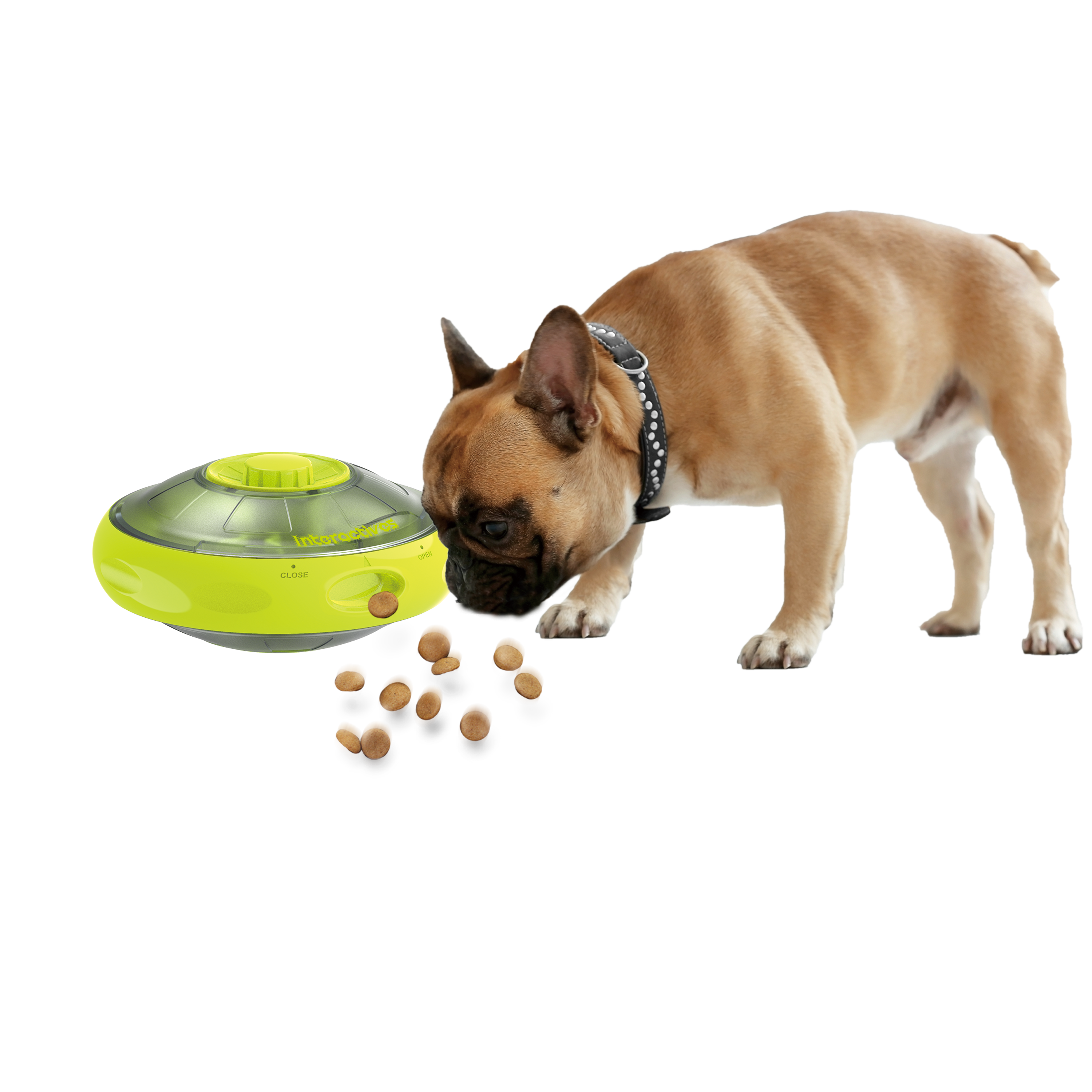 mind stimulating dog toys